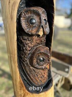 La Scie À Chaîne A Sculpté Des Owls Dans L'état De Log Cottonwood Transport 21 Telle D'un Kind