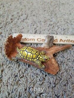 Main Sculptée Deer Antler Box Turtle Shed Carving Folk Art