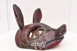 Mexicain Guerrero Folk Art Antique Pig El Cerdo Hog Masque De Danse En Bois Sculpté