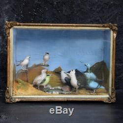 Milieu Du 20ème Siècle Sculpté À La Main Art Populaire Oiseaux Diorama Avec Authentification Stamp