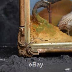 Milieu Du 20ème Siècle Sculpté À La Main Art Populaire Oiseaux Diorama Avec Authentification Stamp