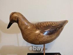Sculpture d'art populaire d'oiseau en bois sculpté à la main, style du début du siècle, base en bois flotté signée
