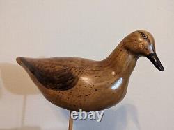 Sculpture d'art populaire d'oiseau en bois sculpté à la main, style du début du siècle, base en bois flotté signée