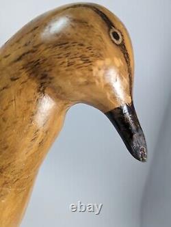 Sculpture d'art populaire d'oiseau en bois sculpté à la main, style du début du siècle, base en bois flotté signée