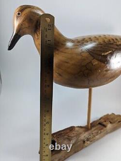 Sculpture d'art populaire d'oiseau en bois sculpté à la main, style du début du siècle, base en bois flotté signée