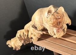 Sculpture de chat en bois sculpté à la main en burl, art populaire indonésien, unique 1/1