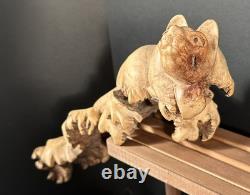 Sculpture de chat en bois sculpté à la main en burl, art populaire indonésien, unique 1/1