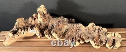Sculpture de chat en bois sculpté à la main en burl, art populaire indonésien, unique 1/1