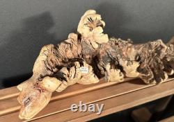 Sculpture de chat en bois sculpté à la main en burl, art populaire indonésien, unique 1/1