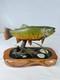 Sculpture De Poisson Omble De Fontaine Sculpt&eacute;e &agrave; La Main, Sign&eacute;e Ned Ramm Eq2009, Sculpture Sur Bois