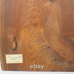 Sculpture en bois de sculpture sur bois vintage Plaque d'art populaire John Vanderstappen Pennsylvanie