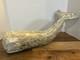 Sculpture En Bois Sculpté De Baleine Spermatoïde Vintage 17 Art Populaire