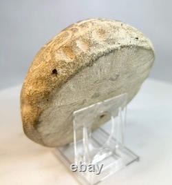 Sculpture en pierre de visage d'effigie en art populaire sculptée à la main, début du 20ème siècle