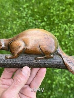 Sculpture sur bois d'art populaire antique représentant un petit castor - Incroyablement ancien