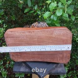 Sculpture sur bois de Big Foot Fille Sasquatch Monstre de 19 pouces Doigt d'honneur Art populaire