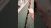 Serpent Dans La Nature 55 Canne En Bois Antique D'art Populaire Sculpté Serpent Art Canne Antique