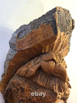 Tête indienne autochtone en bois sculpté à la main et signée, en burl de bois d'arbre vintage, art populaire Schnetter.