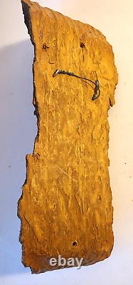 Tête indienne autochtone en bois sculpté à la main et signée, en burl de bois d'arbre vintage, art populaire Schnetter.