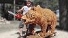 Véritable Taille Ours En Bois Amazing Chainsaw Wood Carving