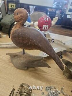 Vieux Oiseau Sculpté en Bois sur Bois Flotté de la Côte du Maine