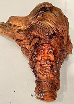 Wood Spirit Assistant De Sculpture Fantasy Forest Face Signé Dated
